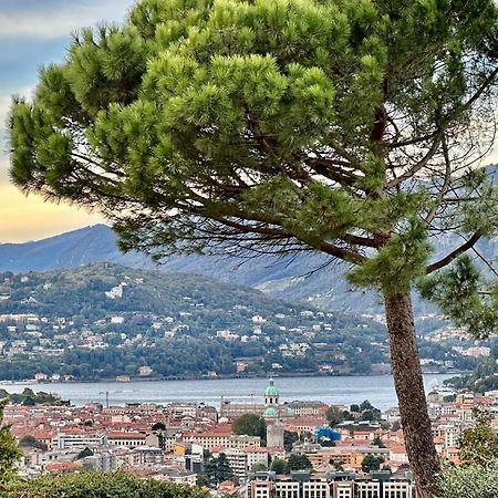 Lake Como View Apartment Eksteriør billede