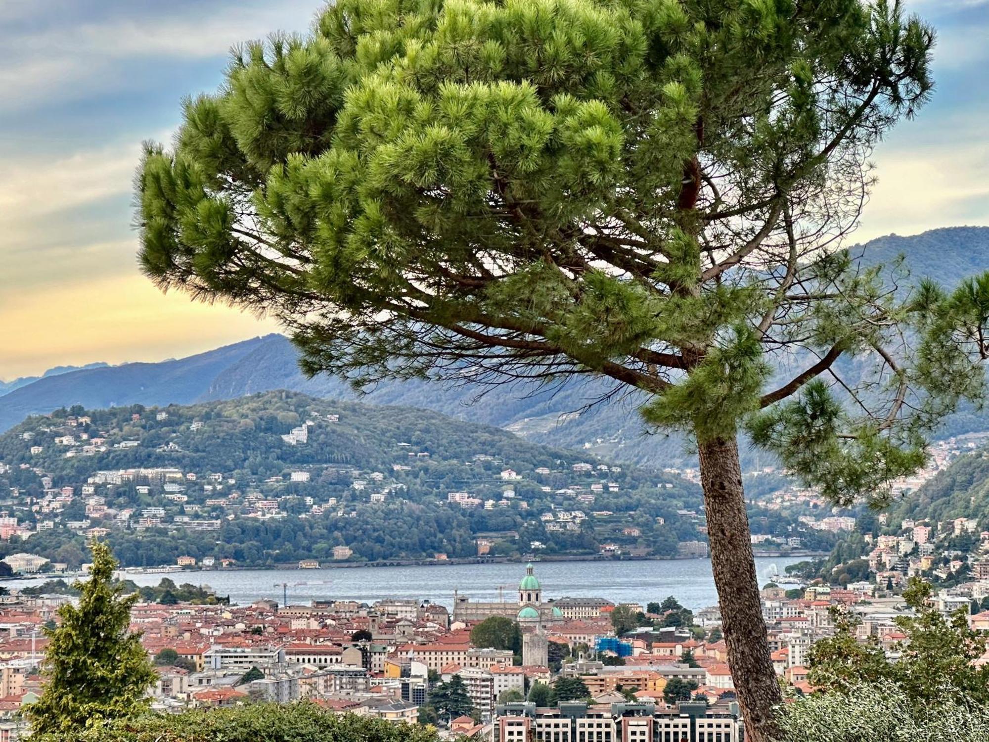 Lake Como View Apartment Eksteriør billede